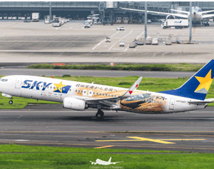 Skymark Airlines Fleet Image