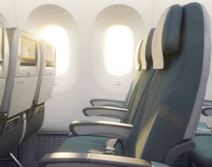 Royal Brunei Airlines Economy Seat Size Image