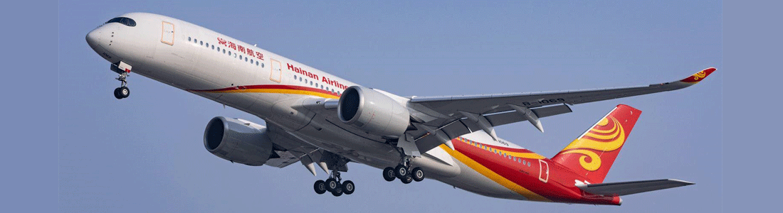 Hainan Airlines fleet image